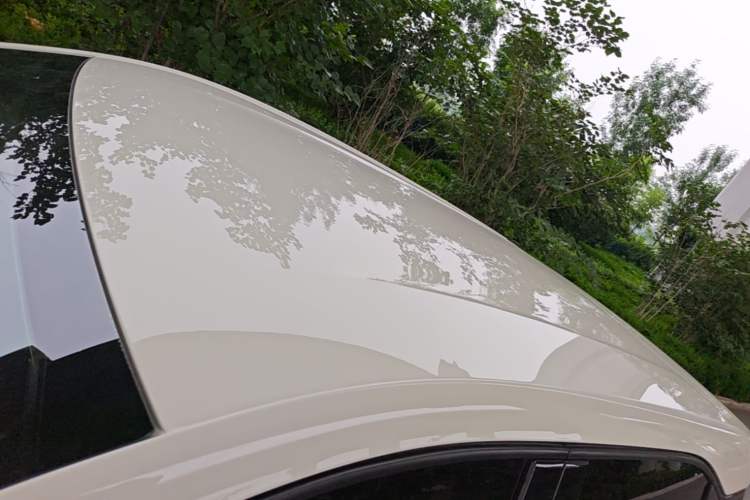 Used BYD Seagull 2023 Free Edition Roof