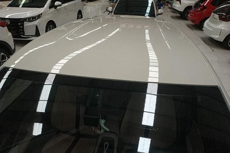 Used BYD Seagull 2023 Free Edition Roof