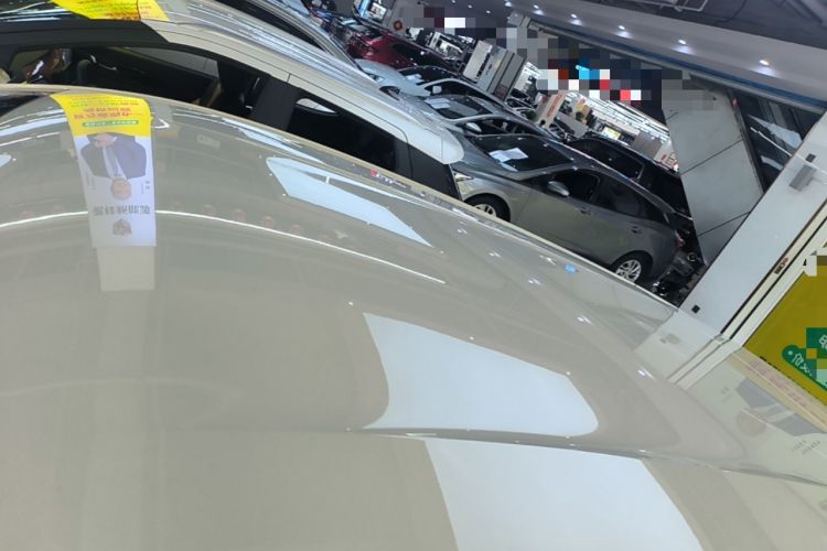 Used BYD Seagull 2023 Flying Edition Roof