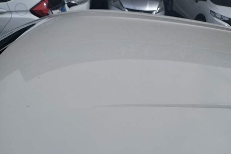 Used BYD Seagull 2023 Free Edition Roof