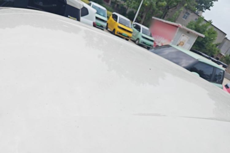 Used BYD Seagull 2023 Free Edition Roof