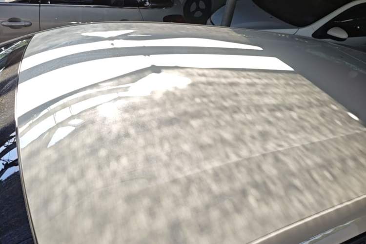 Used BYD Seagull 2023 Free Edition Roof