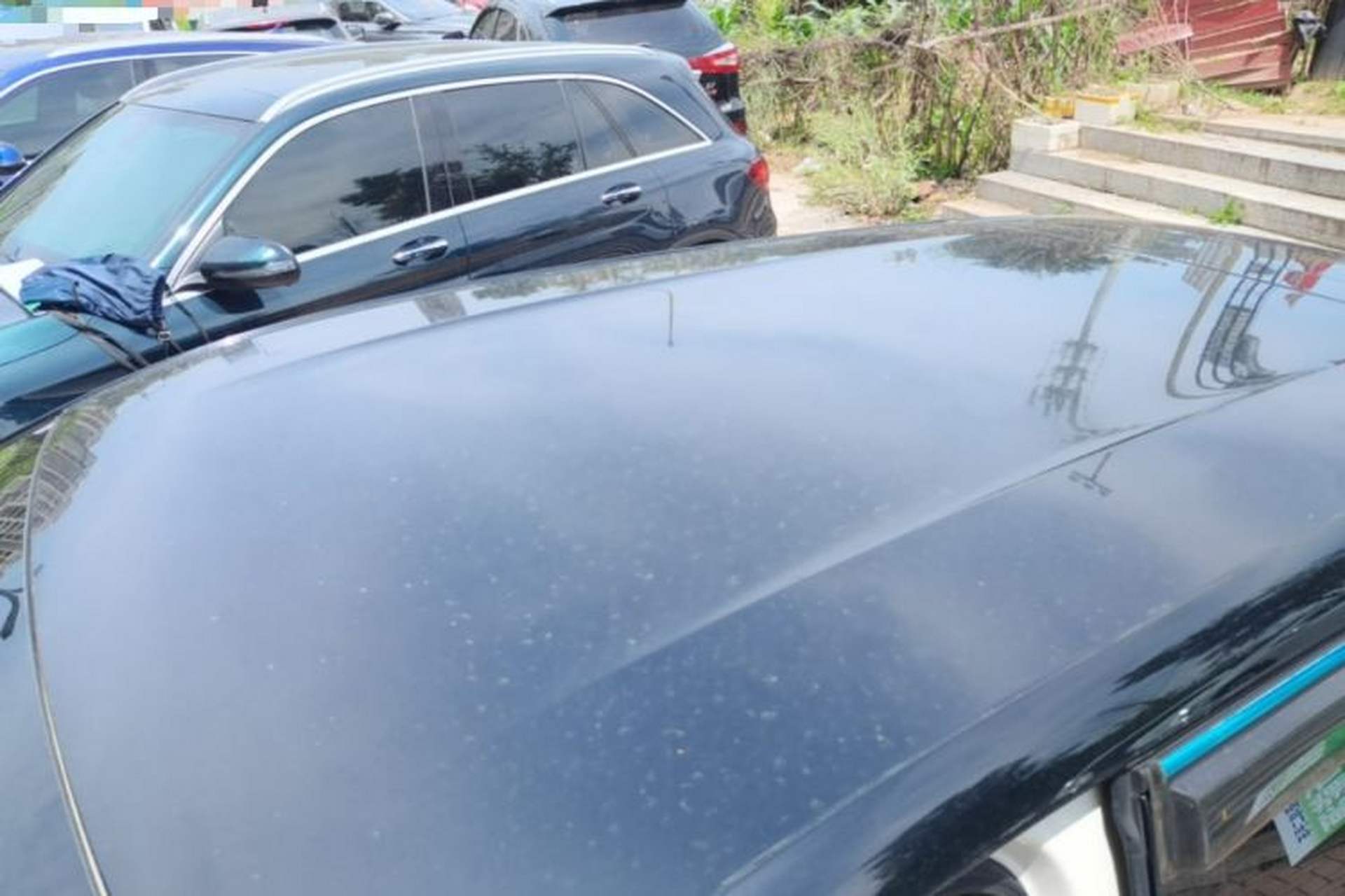 Used BYD Seagull 2023 Free Edition Roof