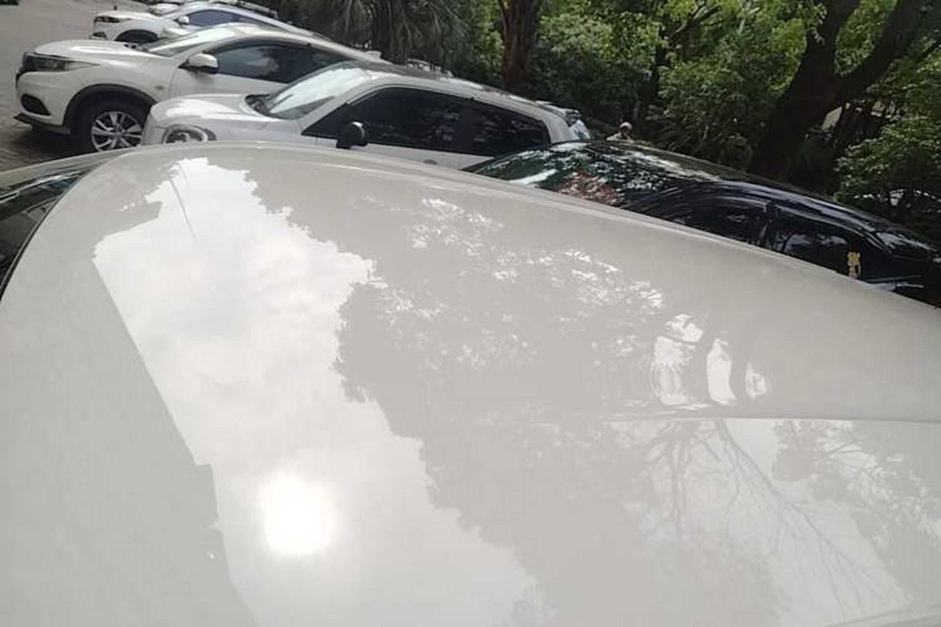 Used BYD Seagull 2023 Flying Edition Roof