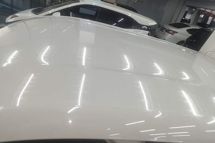 Used BYD Seagull 2023 Free Edition Roof