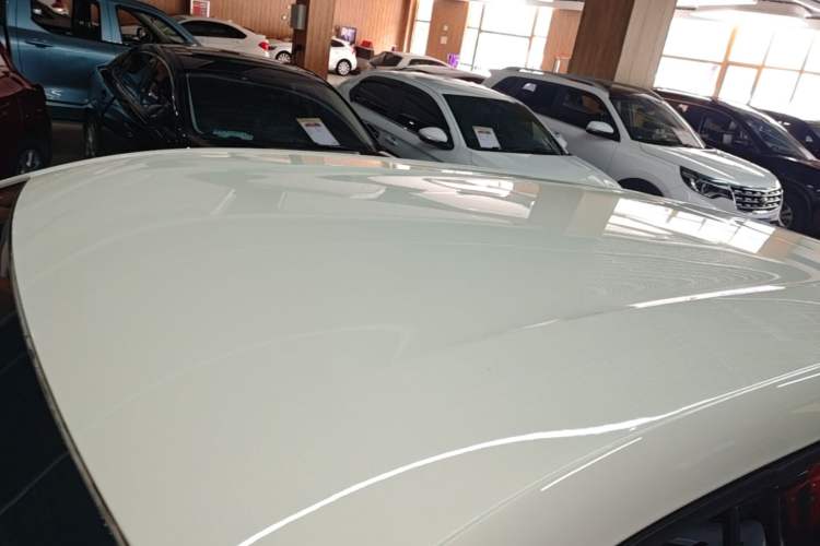 Used BYD Seagull 2023 Free Edition Roof