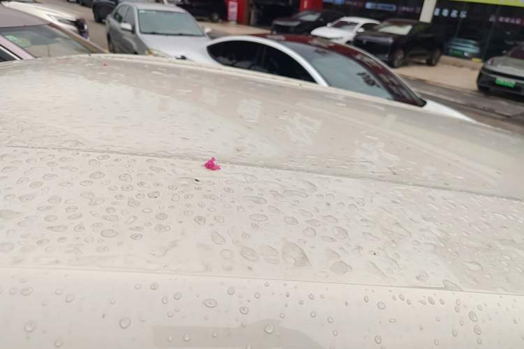 Used BYD Seagull 2023 Flying Edition Roof