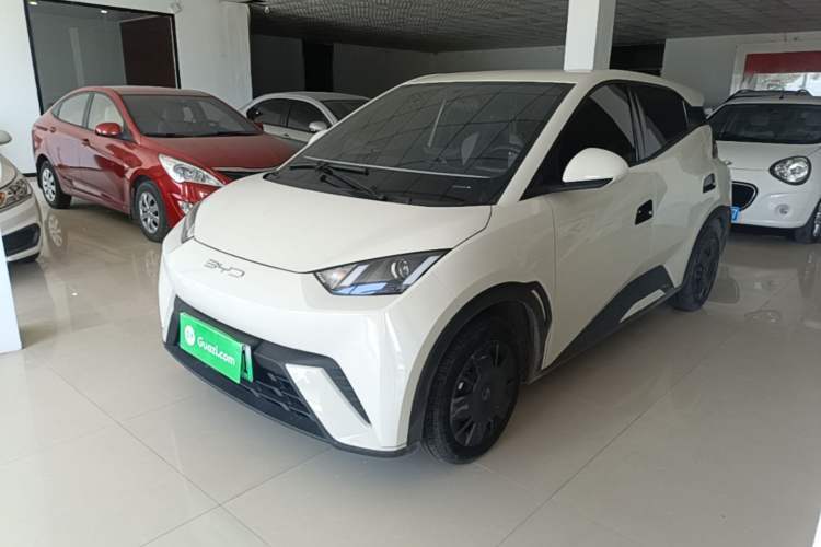 Used BYD Seagull 2023 Active Version Guazi used car, China used car export, Used car for sale, Used  cars, Cheapest cars for sale