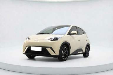 Used BYD Seagull 2023 Free Edition