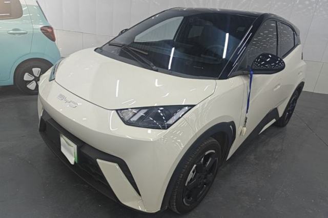 Used BYD Seagull 2023 Flying Edition