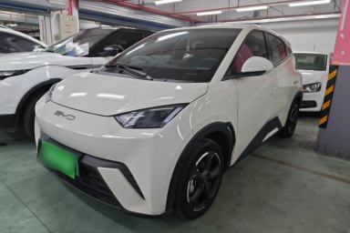 Used BYD Seagull 2023 Flying Edition