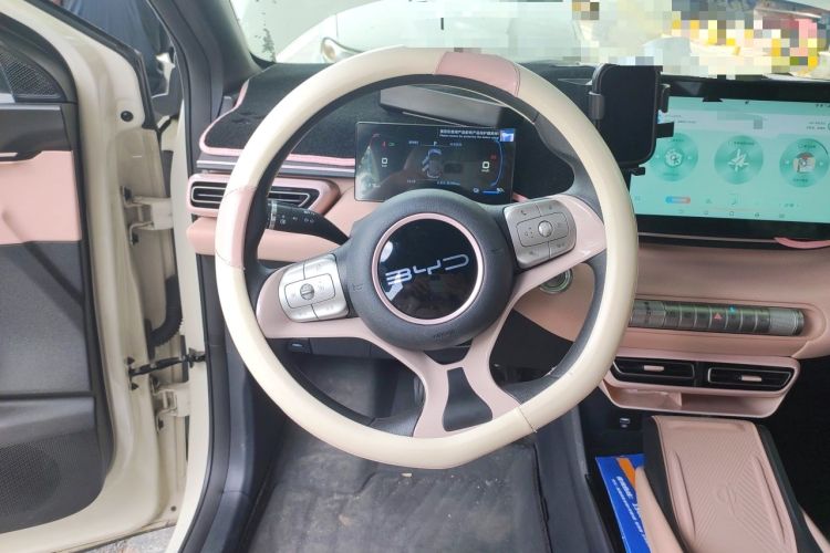 Used BYD Seagull 2023 Active Version Steering Wheel