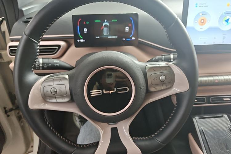 Used BYD Seagull 2023 Flying Edition Steering Wheel