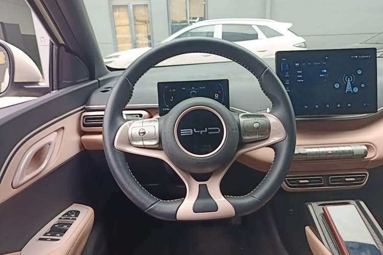 Used BYD Seagull 2023 Free Edition Steering Wheel