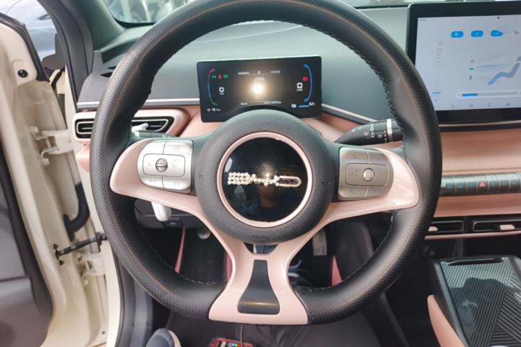 Used BYD Seagull 2023 Active Version Steering Wheel