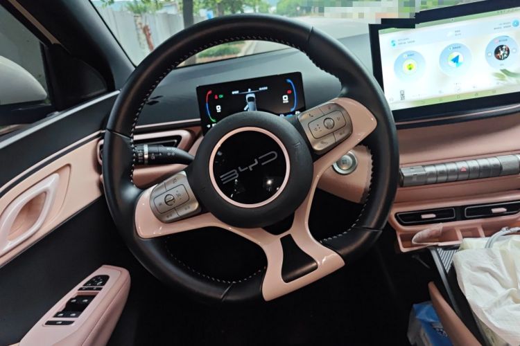 Used BYD Seagull 2023 Free Edition Steering Wheel