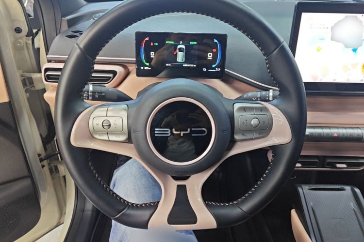 Used BYD Seagull 2023 Flying Edition Steering Wheel