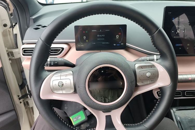 Used BYD Seagull 2023 Free Edition Steering Wheel