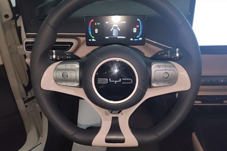 Used BYD Seagull 2023 Active Version Steering Wheel