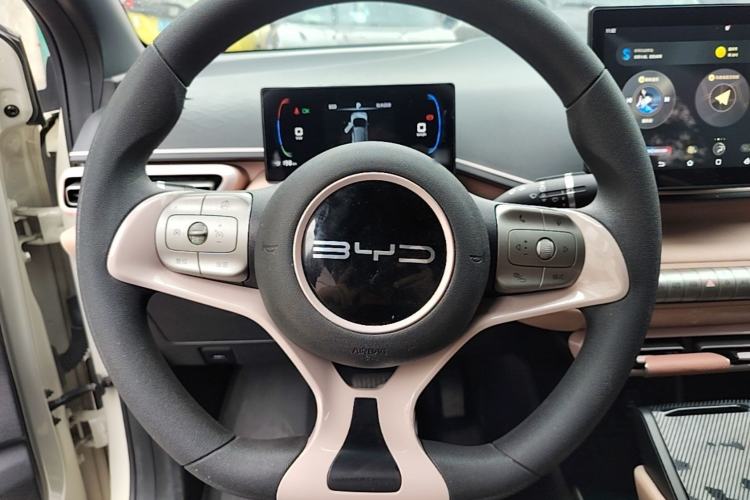 Used BYD Seagull 2023 Active Version Steering Wheel