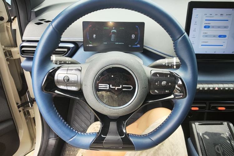 Used BYD Seagull 2023 Flying Edition Steering Wheel