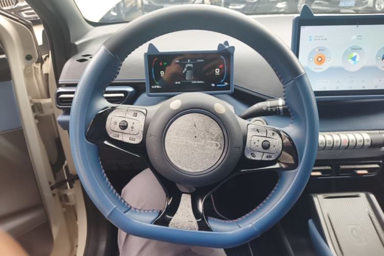 Used BYD Seagull 2023 Free Edition Steering Wheel