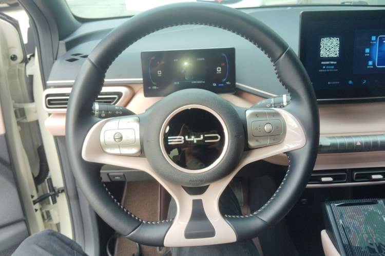 Used BYD Seagull 2023 Free Edition Steering Wheel
