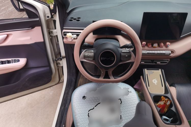 Used BYD Seagull 2023 Flying Edition Steering Wheel