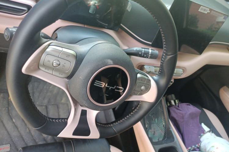 Used BYD Seagull 2023 Flying Edition Steering Wheel