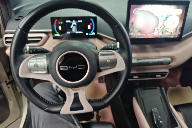 Used BYD Seagull 2023 Free Edition Steering Wheel