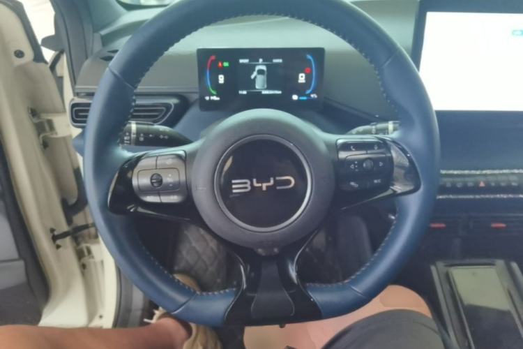 Used BYD Seagull 2023 Flying Edition Steering Wheel
