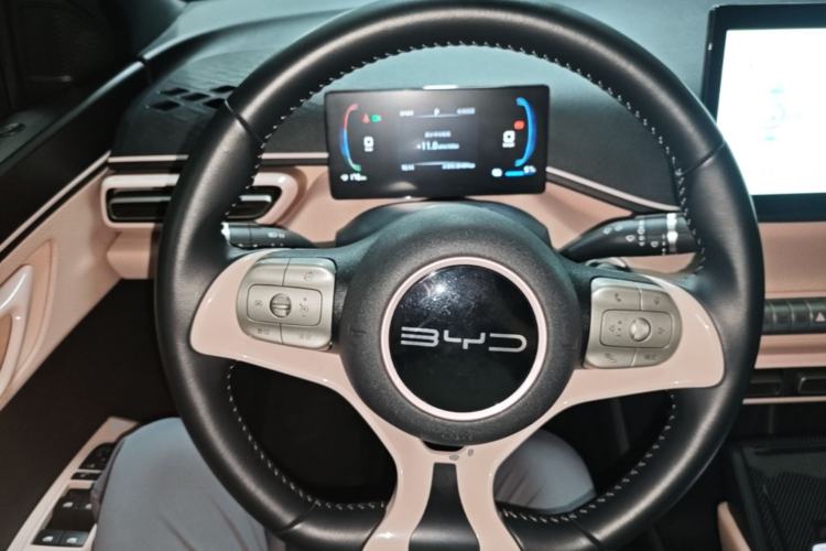 Used BYD Seagull 2023 Free Edition Steering Wheel