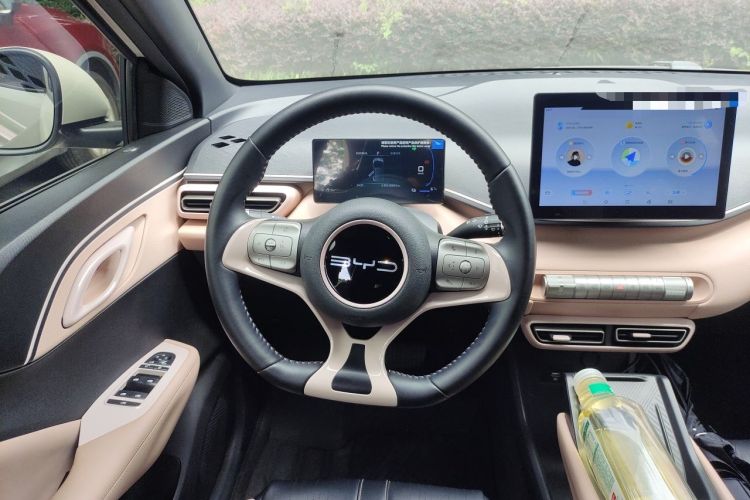 Used BYD Seagull 2023 Free Edition Steering Wheel