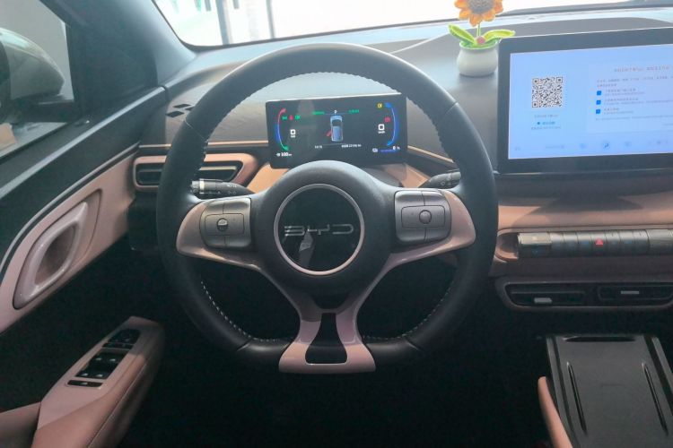 Used BYD Seagull 2023 Flying Edition Steering Wheel
