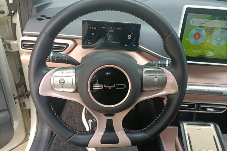 Used BYD Seagull 2023 Free Edition Steering Wheel