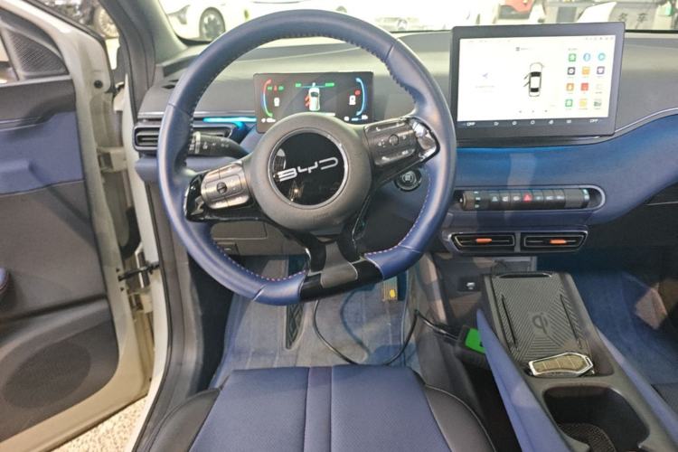 Used BYD Seagull 2023 Flying Edition Steering Wheel