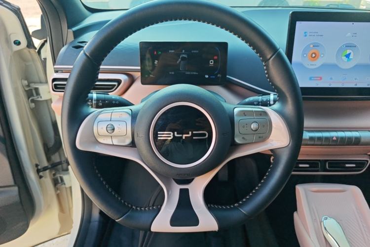 Used BYD Seagull 2023 Free Edition Steering Wheel