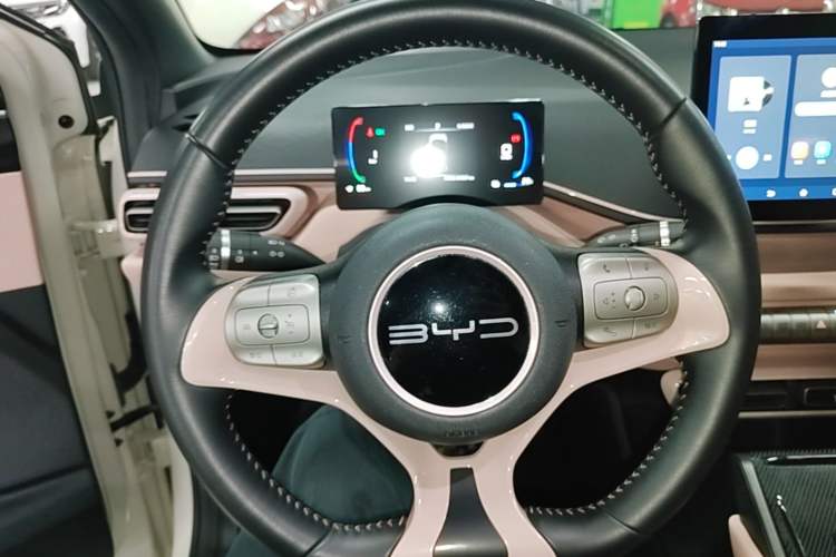 Used BYD Seagull 2023 Free Edition Steering Wheel
