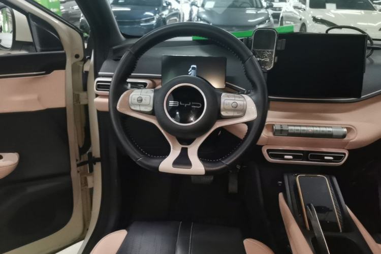 Used BYD Seagull 2023 Free Edition Steering Wheel