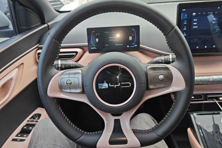 Used BYD Seagull 2023 Flying Edition Steering Wheel