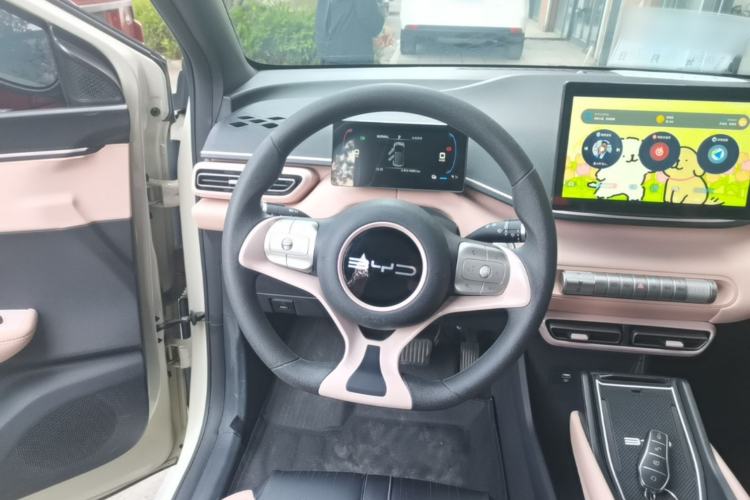 Used BYD Seagull 2023 Active Version Steering Wheel