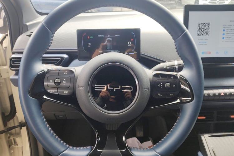 Used BYD Seagull 2023 Free Edition Steering Wheel