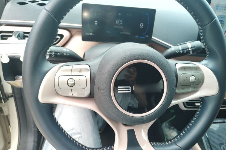 Used BYD Seagull 2023 Flying Edition Steering Wheel