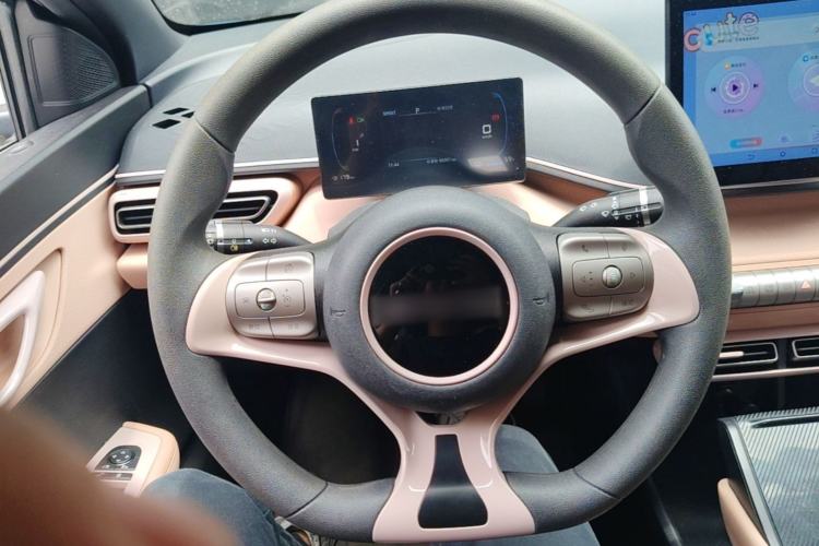 Used BYD Seagull 2023 Active Version Steering Wheel
