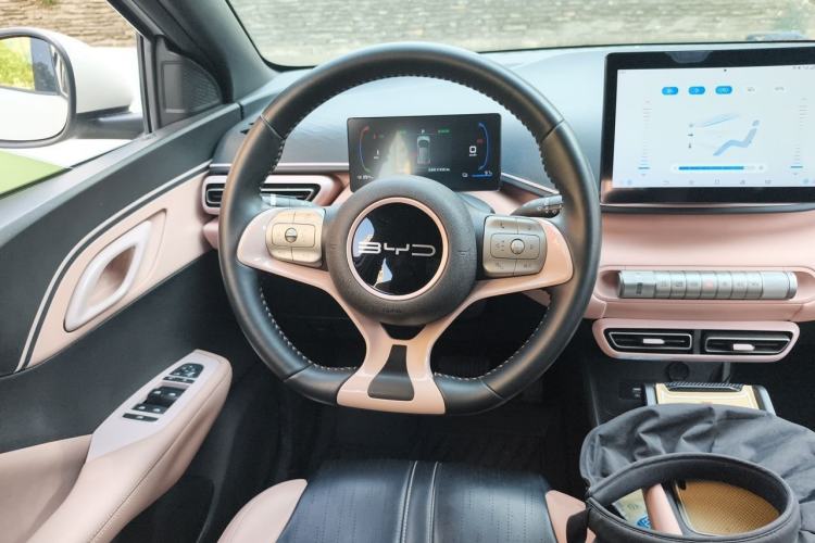 Used BYD Seagull 2023 Flying Edition Steering Wheel