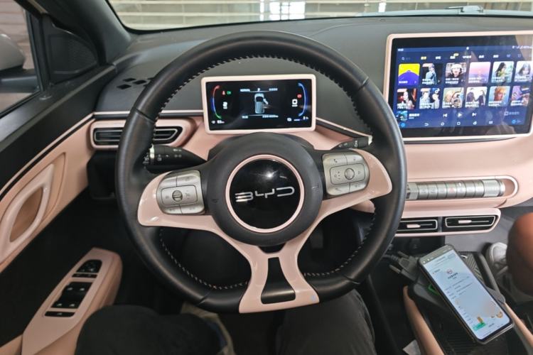 Used BYD Seagull 2023 Free Edition Steering Wheel