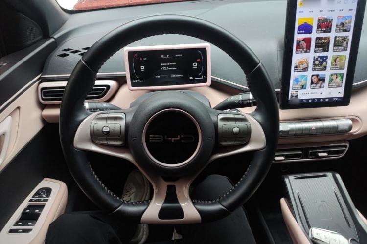 Used BYD Seagull 2023 Free Edition Steering Wheel
