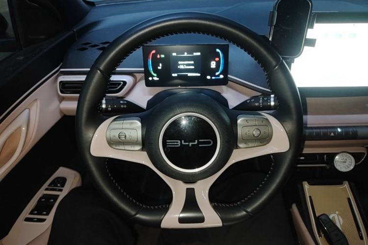 Used BYD Seagull 2023 Free Edition Steering Wheel