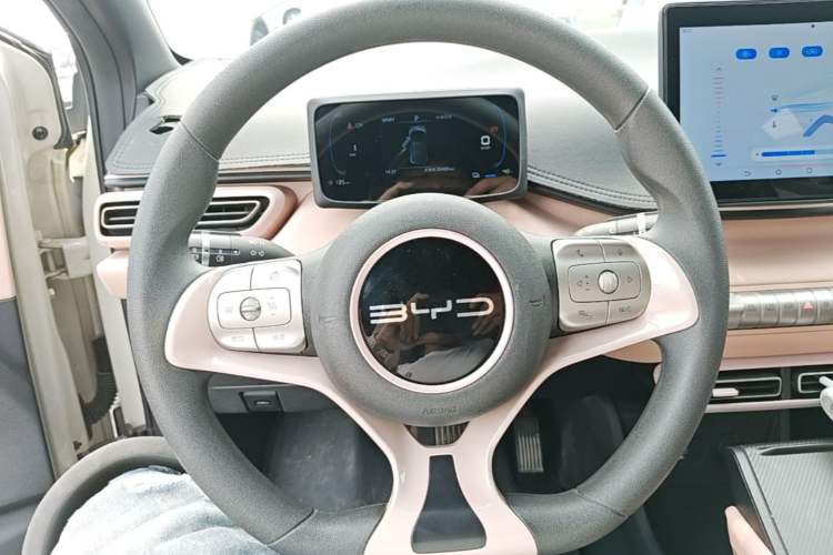 Used BYD Seagull 2023 Active Version Steering Wheel