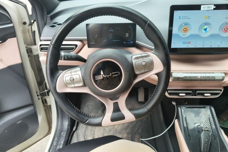 Used BYD Seagull 2023 Flying Edition Steering Wheel